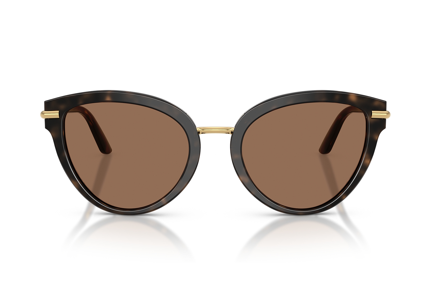 Dolce Gabbana DG4492 3217/13 Kadın Güneş Gözlüğü