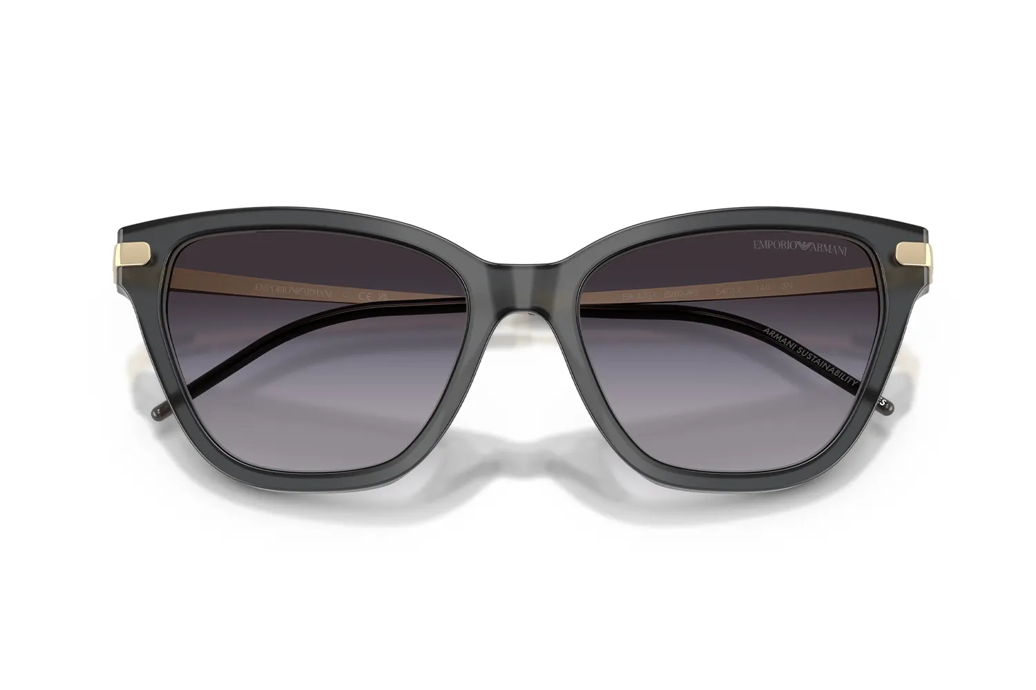 Emporio Armani Güneş Gözlüğü EA4251 6262/8G