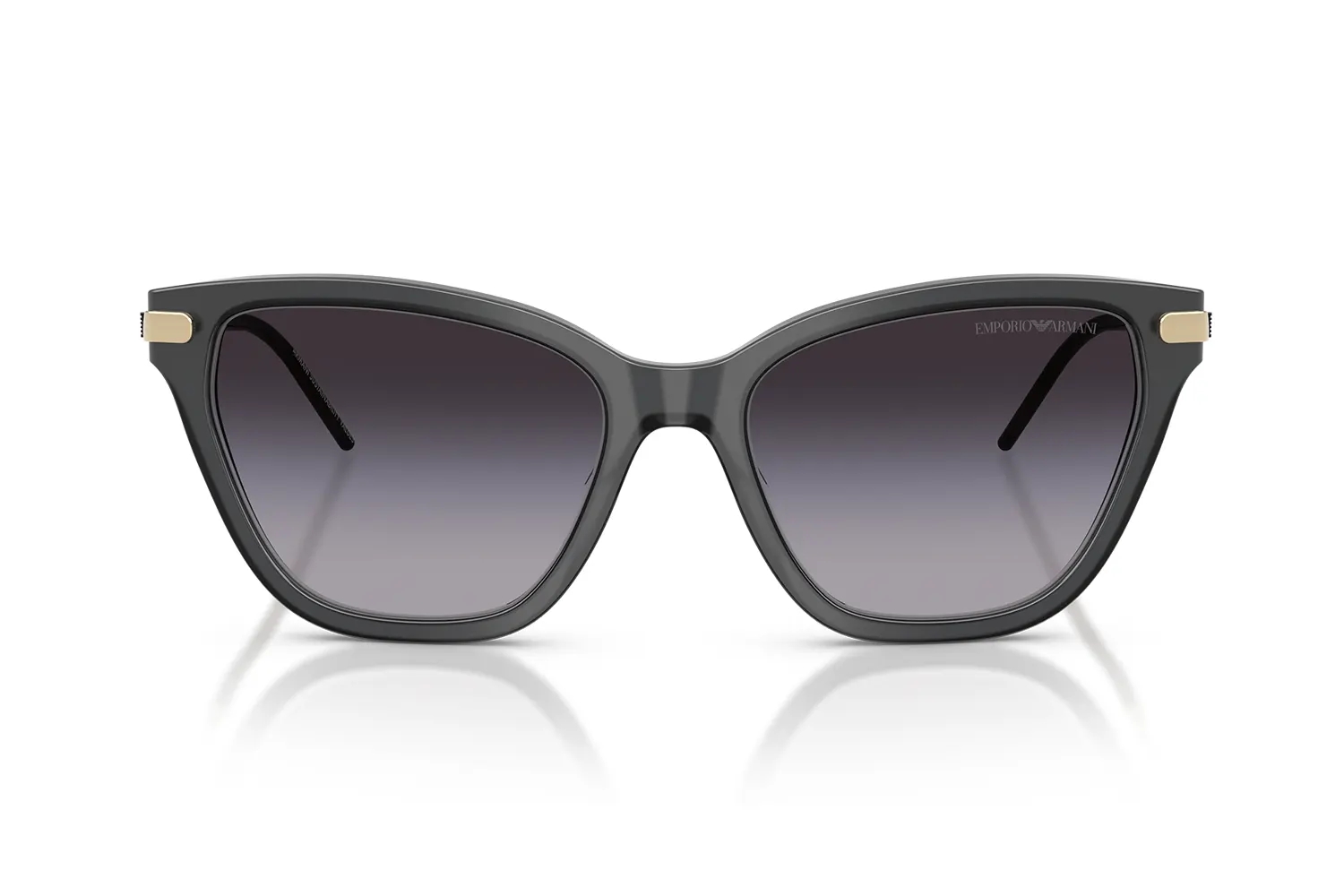 Emporio Armani Güneş Gözlüğü EA4251 6262/8G