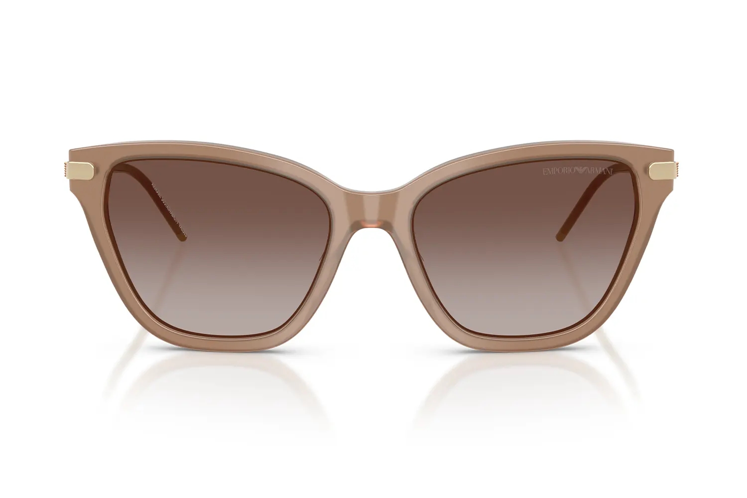 Emporio Armani Güneş Gözlüğü EA4251 6263/13