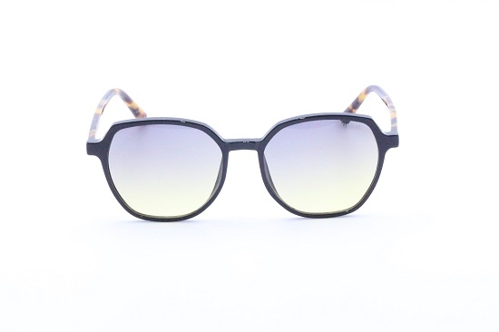 Polo Village Güneş Gözlüğü PV2358 01