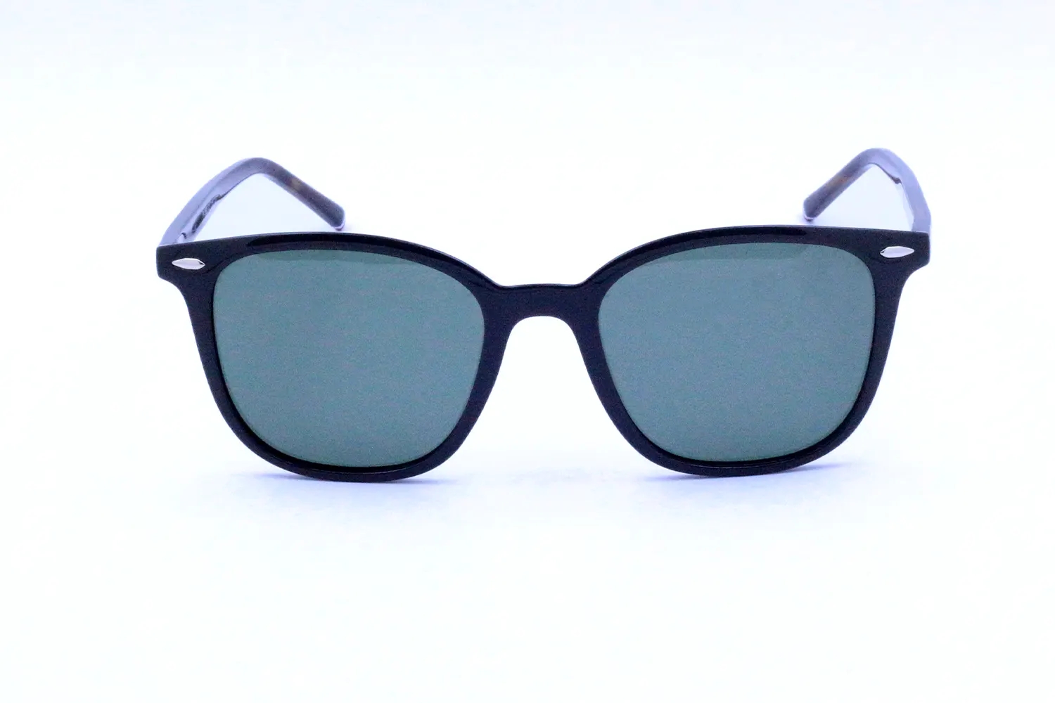 Polo Village Unisex Güneş Gözlüğü PV5505 C3