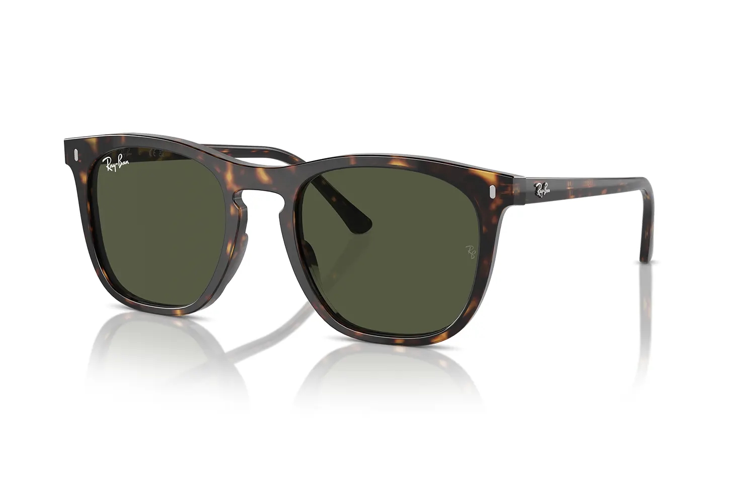 Ray-Ban Unisex Güneş Gözlüğü RB 2210 902/31