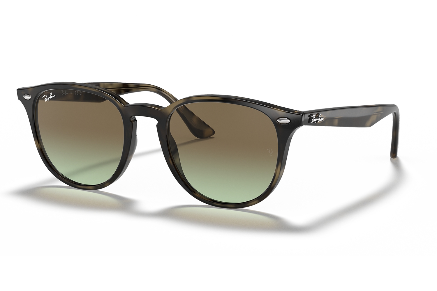 Ray-Ban Unisex Güneş Gözlüğü RB 4259 731/E8