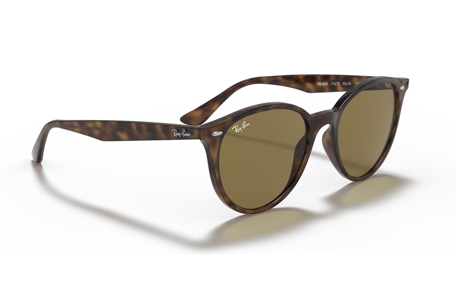 Ray-Ban Unisex Güneş Gözlüğü RB 4305 710/73