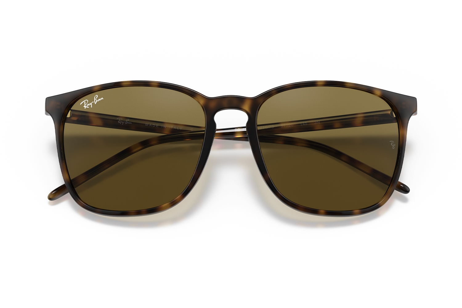 Ray-Ban Unisex Güneş Gözlüğü RB4387 710/73