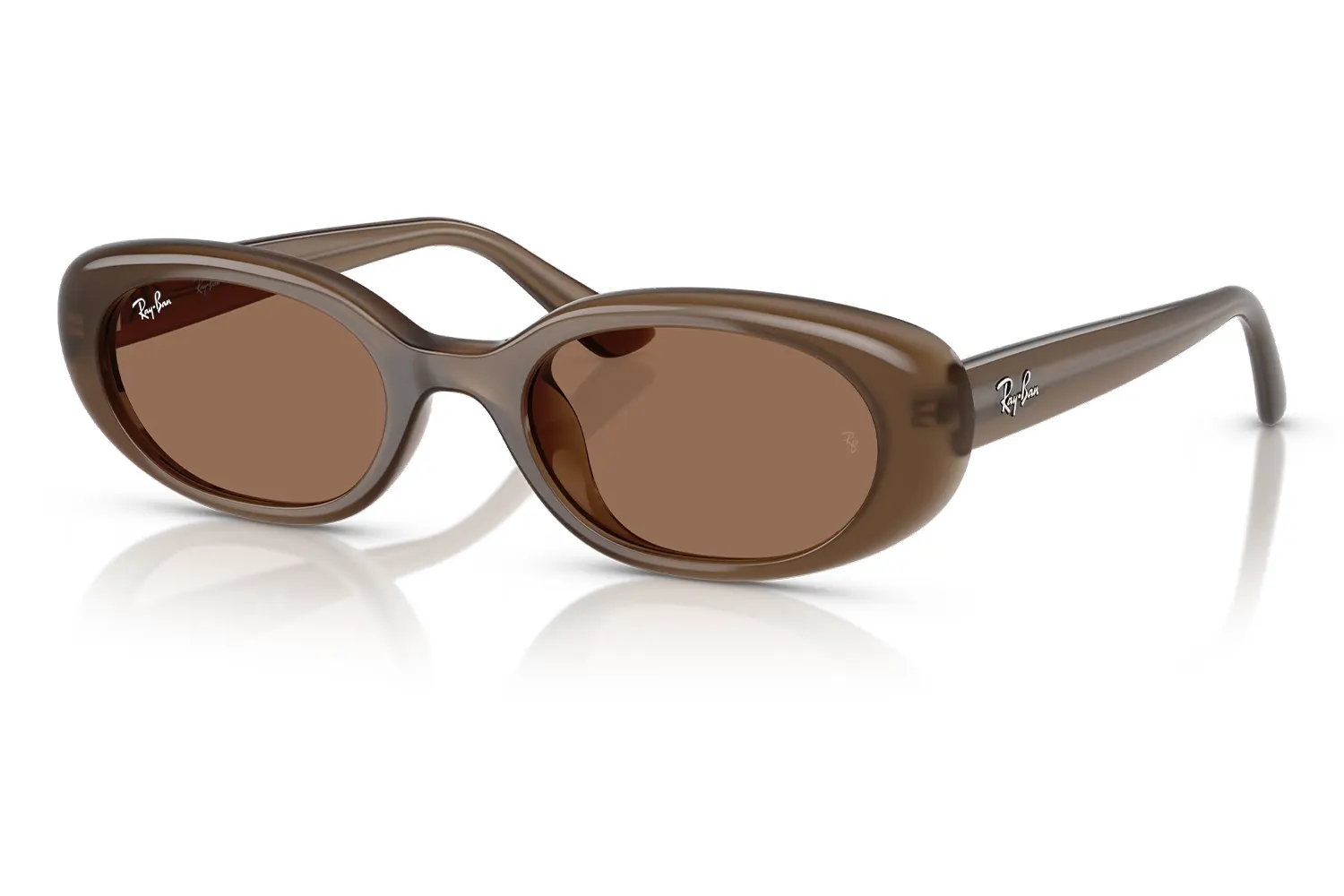 Ray-Ban Kadın Güneş Gözlüğü RB 4441D 677973
