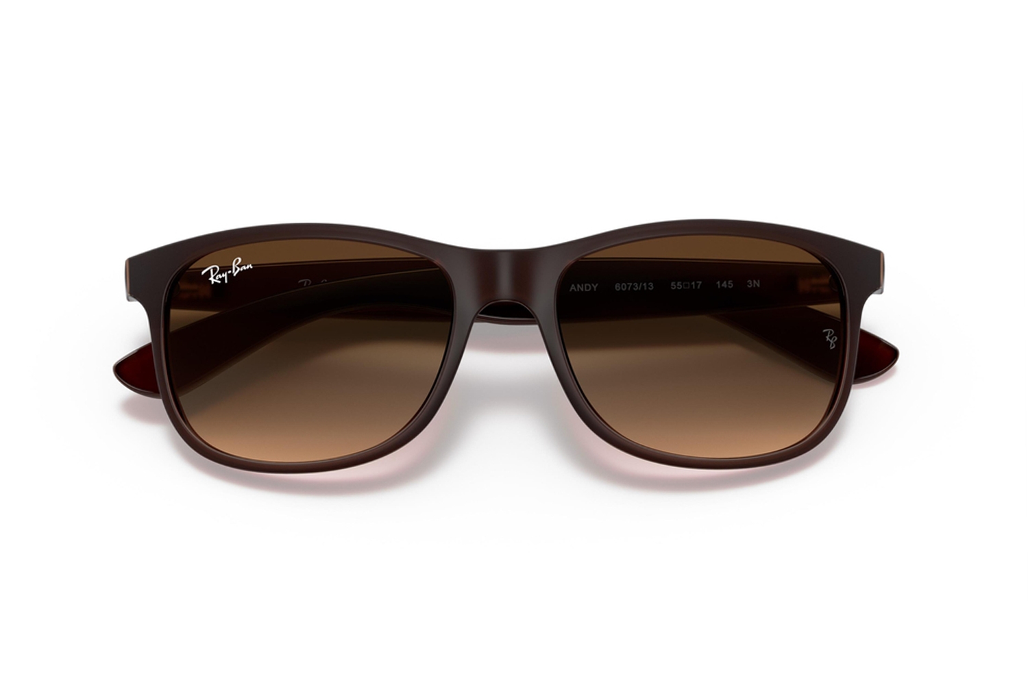 Ray-Ban Unisex Güneş Gözlüğü RB4202 6073/13 55