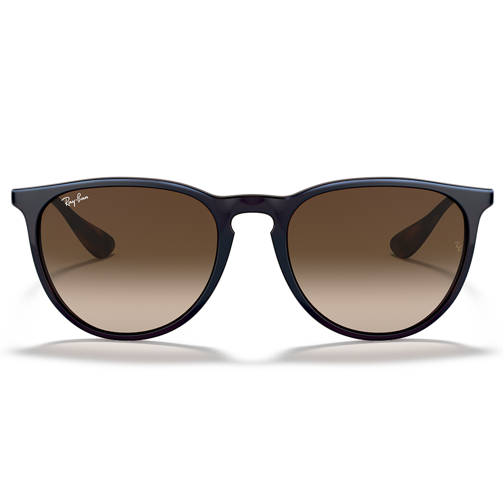 Rayban Güneş Gözlüğü RB4171 Erika 6315/13