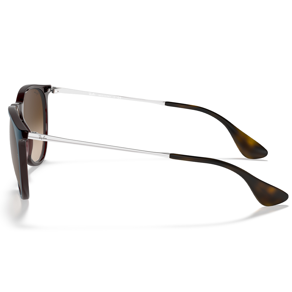Rayban Güneş Gözlüğü RB4171 Erika 6315/13