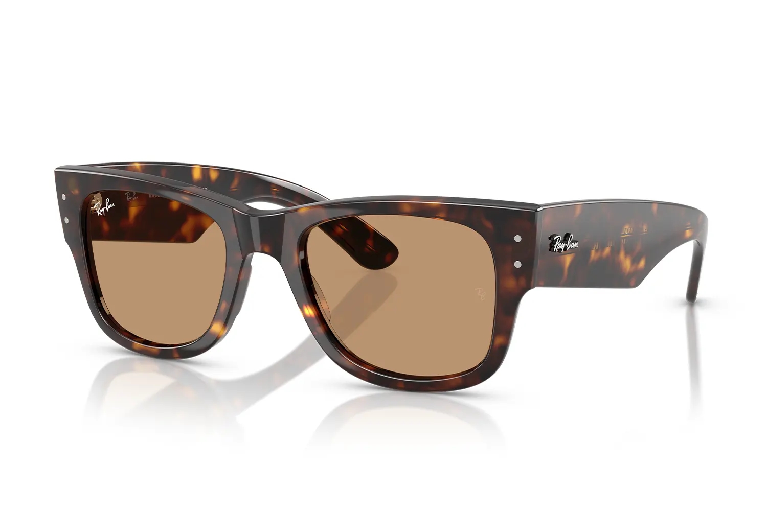 Rayban Güneş Gözlüğü RB0840-S 902/53
