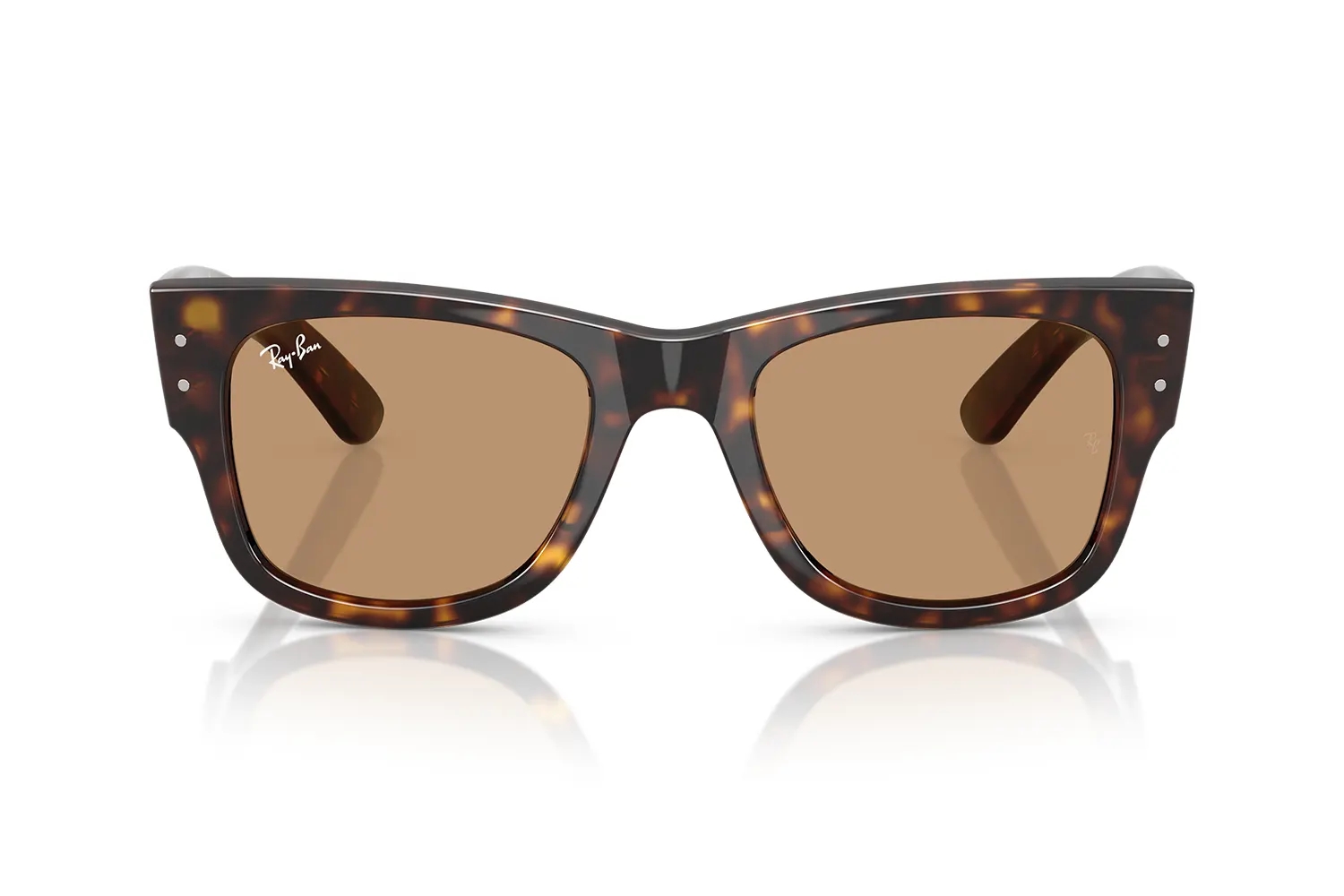Rayban Güneş Gözlüğü RB0840-S 902/53