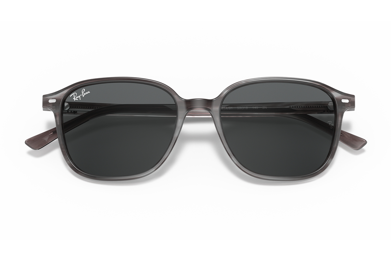 Rayban Güneş Gözlüğü RB2193 1314/B1 53 (Leonard)