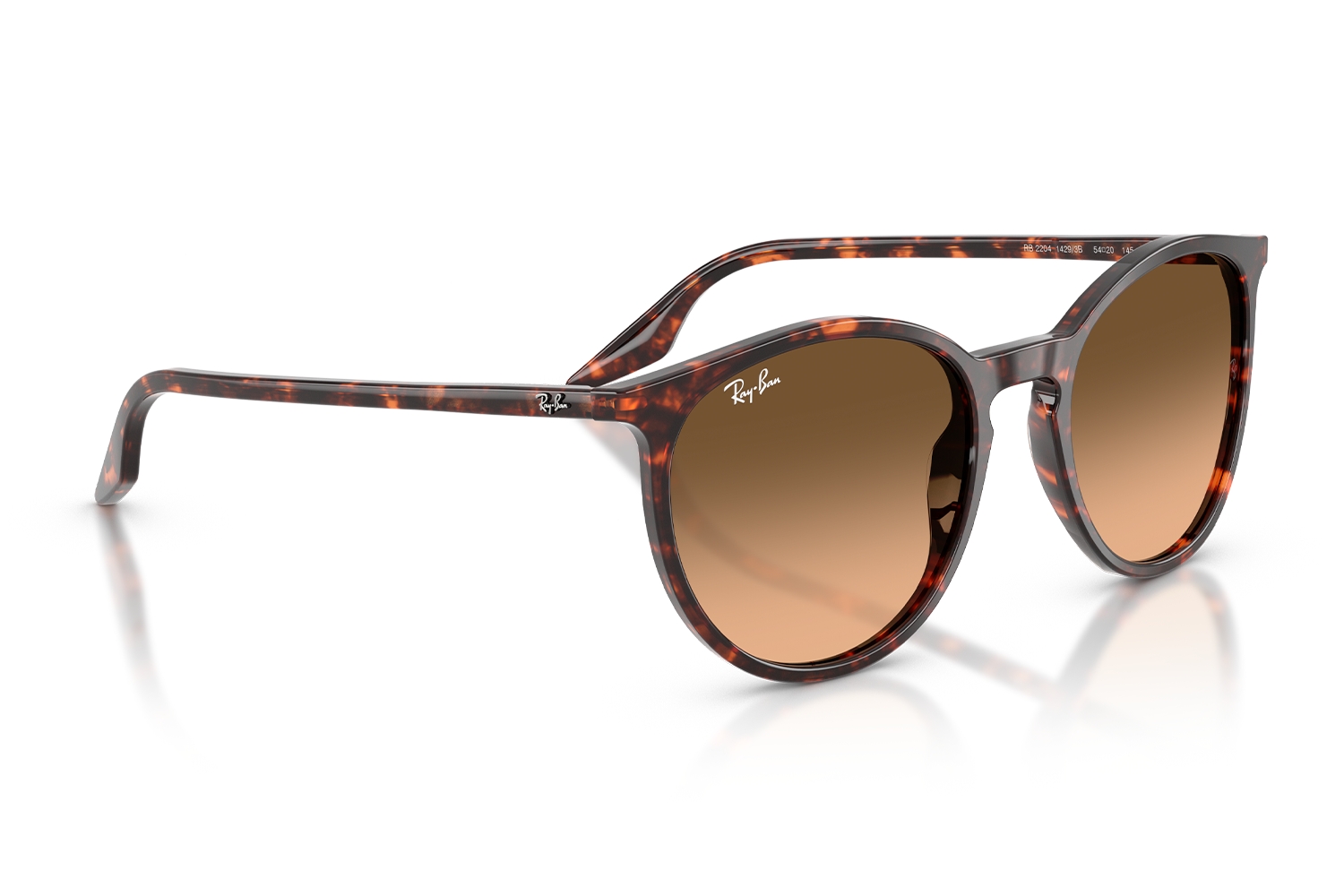 Rayban Güneş Gözlüğü RB2204 1429/3B 51