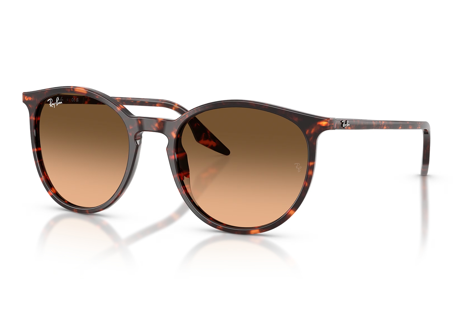 Rayban Güneş Gözlüğü RB2204 1429/3B 51