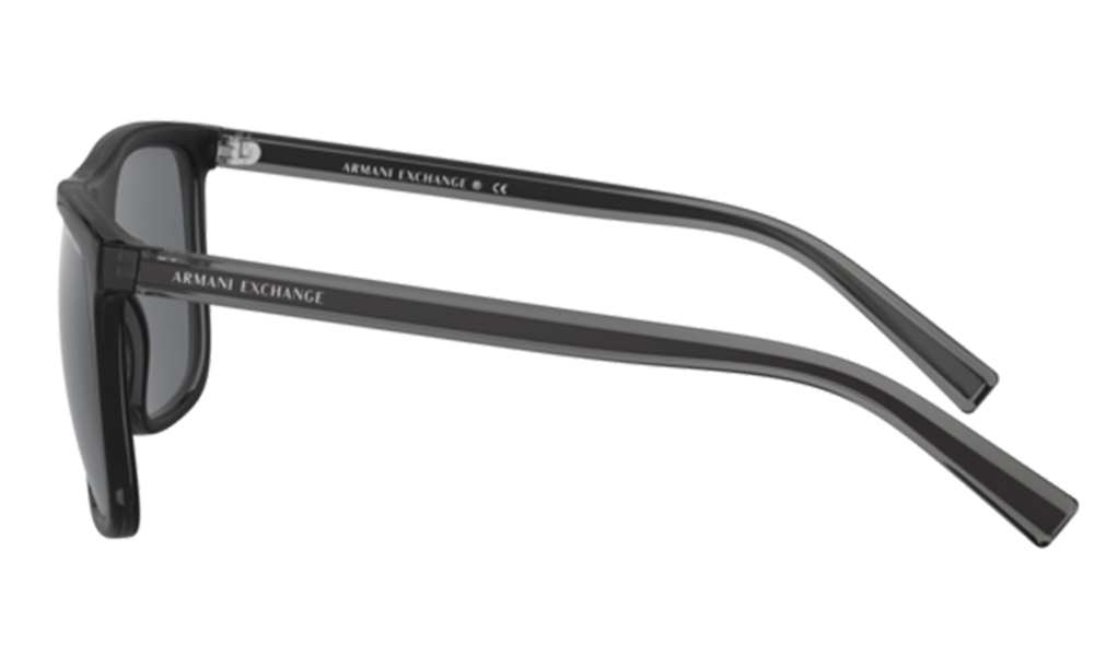 Armani Exchange Güneş Gözlüğü AX4102S 831/87