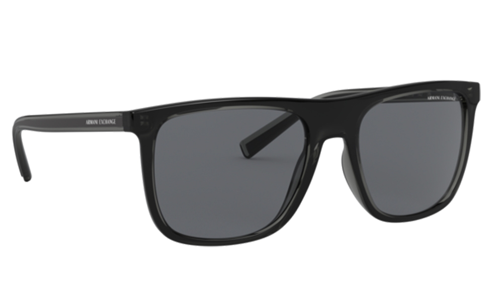 Armani Exchange Güneş Gözlüğü AX4102S 831/87