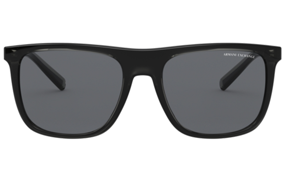 Armani Exchange Güneş Gözlüğü AX4102S 831/87