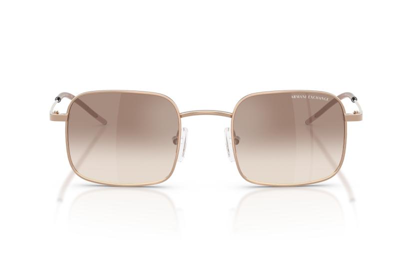  Armani Exchange AX2055S Unisex Güneş Gözlüğü