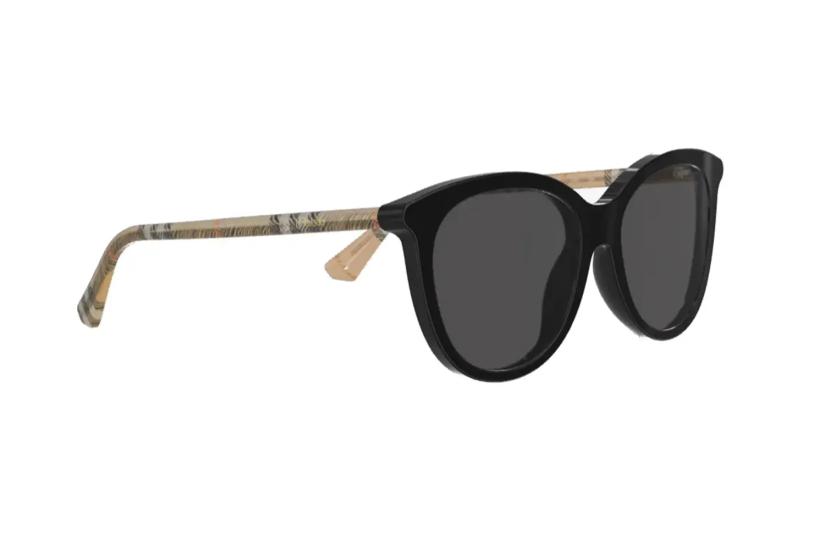 Burberry Unisex Güneş Gözlüğü B4455 4161/87