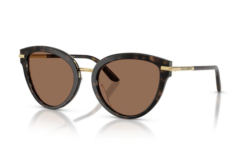 Dolce Gabbana DG4492 3217/13 Kadın Güneş Gözlüğü