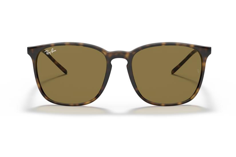 Ray-Ban Unisex Güneş Gözlüğü RB4387 710/73