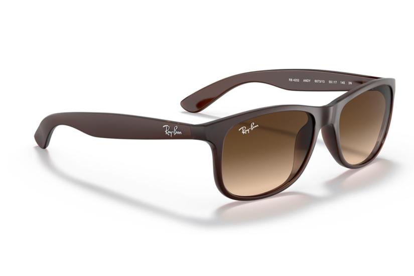 Ray-Ban Unisex Güneş Gözlüğü RB4202 6073/13 55