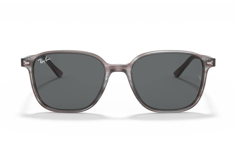 Rayban Güneş Gözlüğü | Rayban Güneş Gözlüğü RB2193 1314/B1 53 (Leonard)