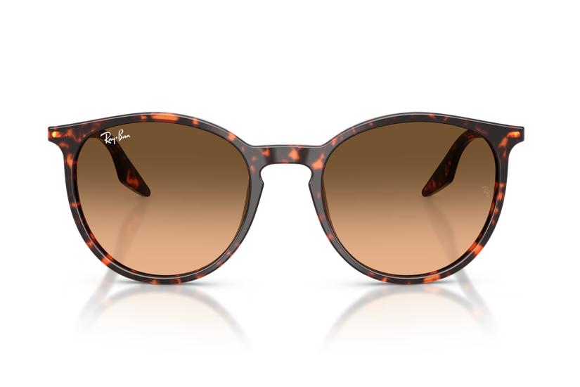 Rayban Güneş Gözlüğü RB2204 1429/3B 51