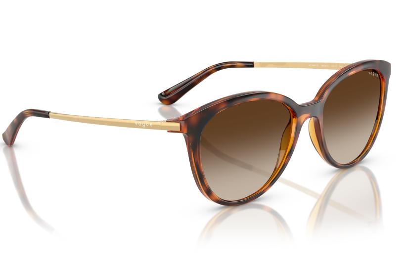 Vogue Güneş Gözlüğü VO5647-SI W65613