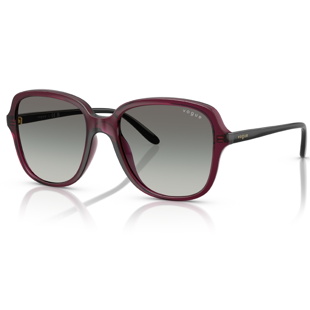 Vogue Güneş Gözlüğü VO5601-S 298911